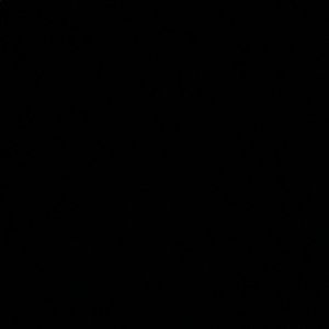 Meet your Posher, Eva